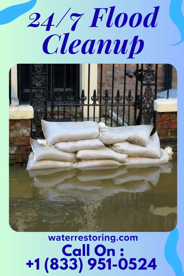 24/7 Flood Cleanup in Mesick, MI