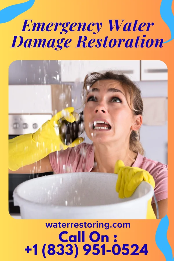 Emergency Water Damage Restoration in Mesick, MI