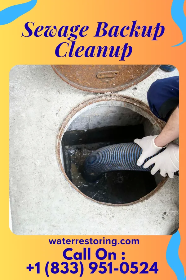 Sewage Backup Cleanup in Mesick, MI