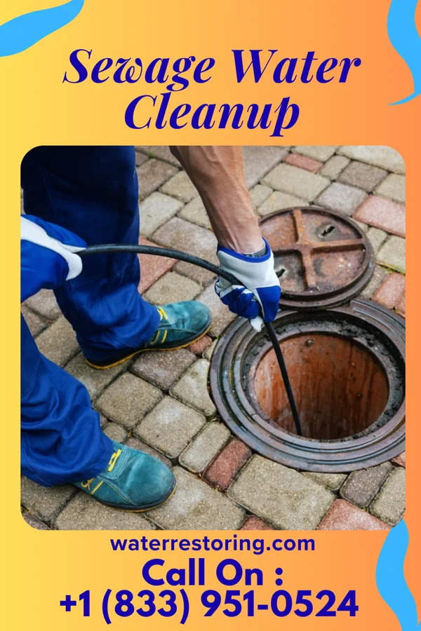 Sewage Water Cleanup in Mesick, MI